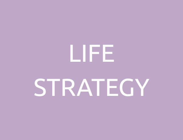 LIFE STRATEGY